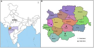 Perceptions of and challenges faced by primary healthcare workers about preconception services in rural India: A qualitative study using focus group discussion